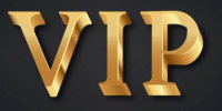 VIP Sachverständige
